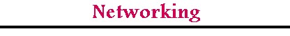 networking.jpg (9298 bytes)